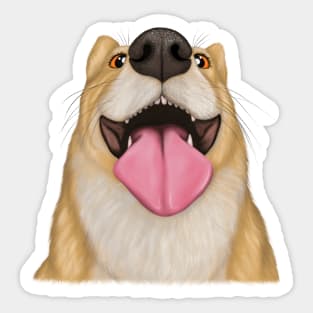 Goofy corgi dog portrait Sticker